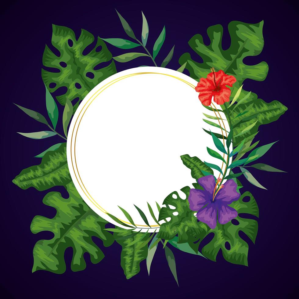 frame circular with flowers and leafs nature vector