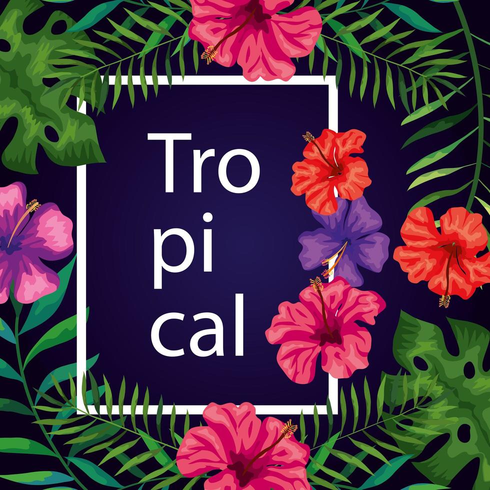 frame tropical with flowers and leafs vector