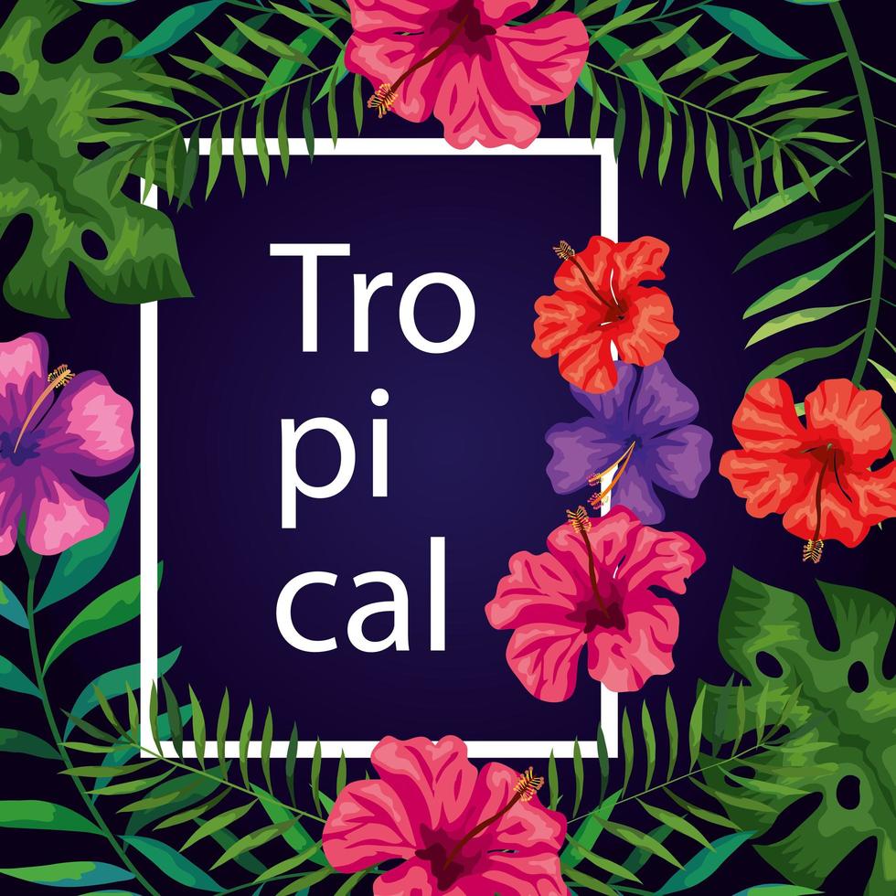 marco tropical con flores y hojas vector