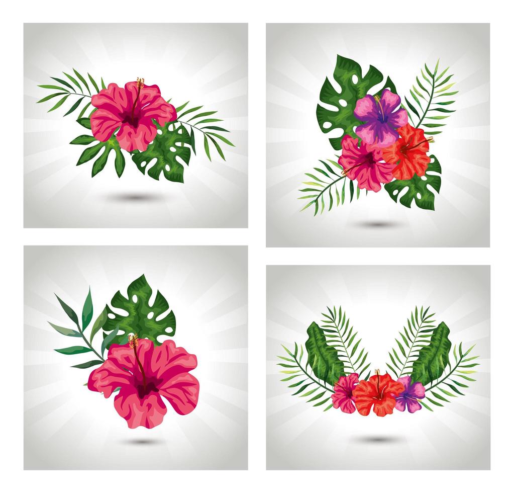 set of flowers with branches and leafs tropical vector