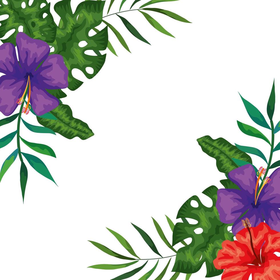 frame of flowers with branches and leafs nature vector