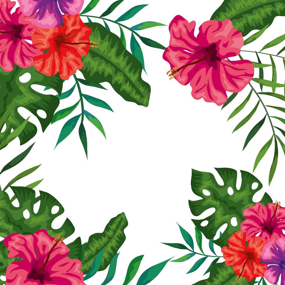 frame of flowers with branches and leafs vector