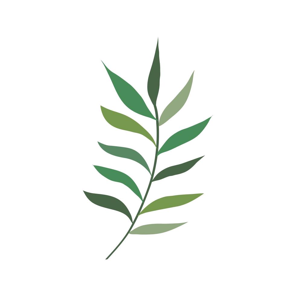 rama con hojas naturaleza icono aislado vector