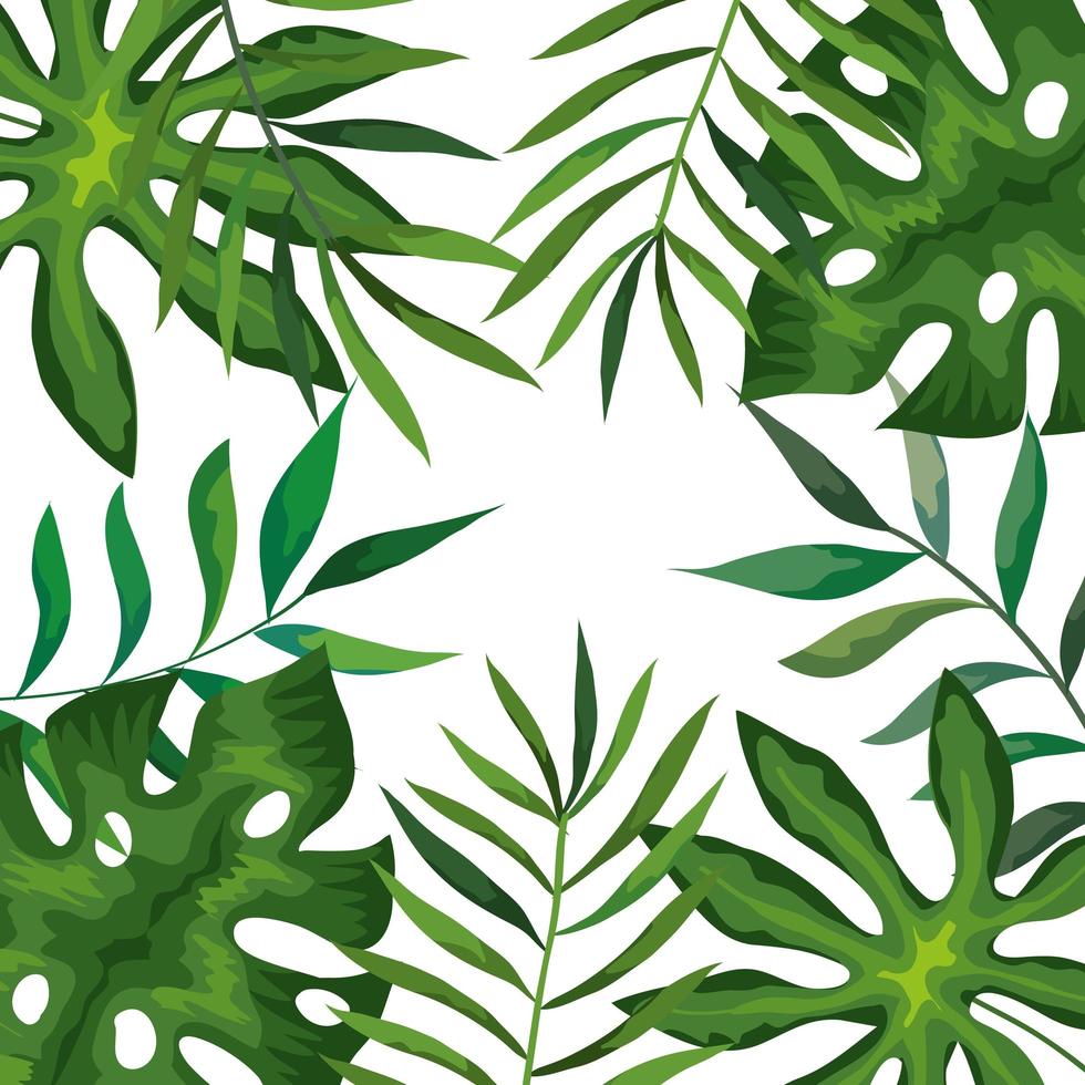frame with branches and leafs tropicals vector