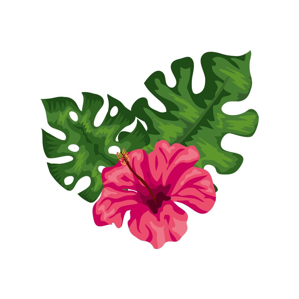 flor natural de color rosa con hojas tropicales vector