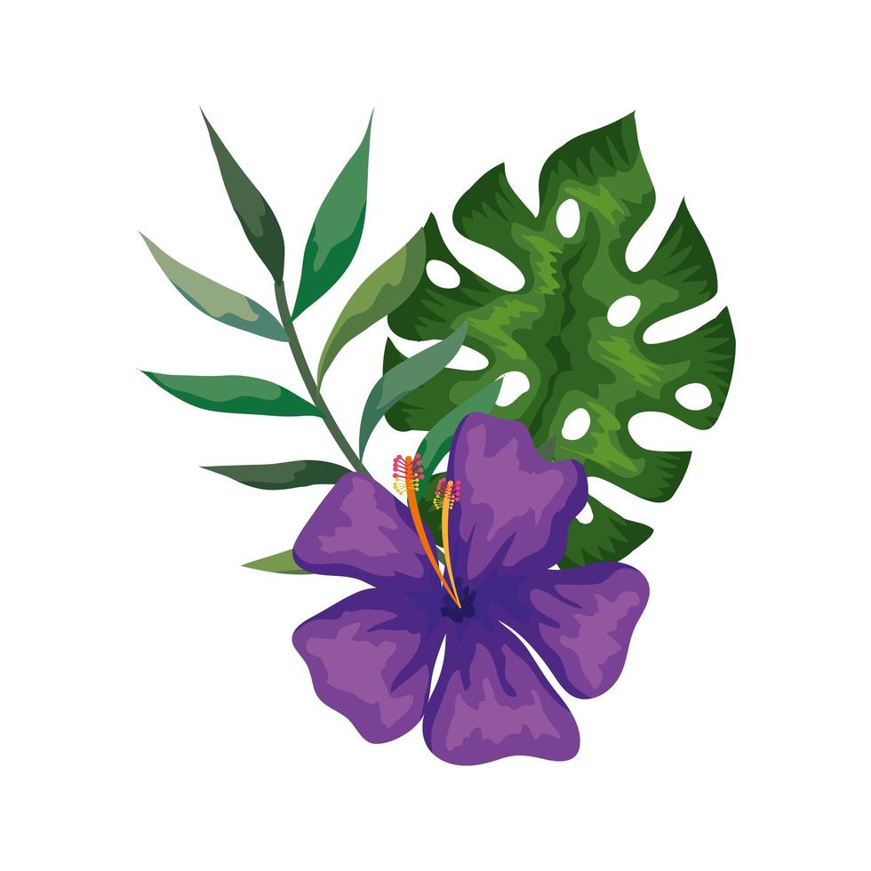 natural flower of purple color with branch and leafs vector
