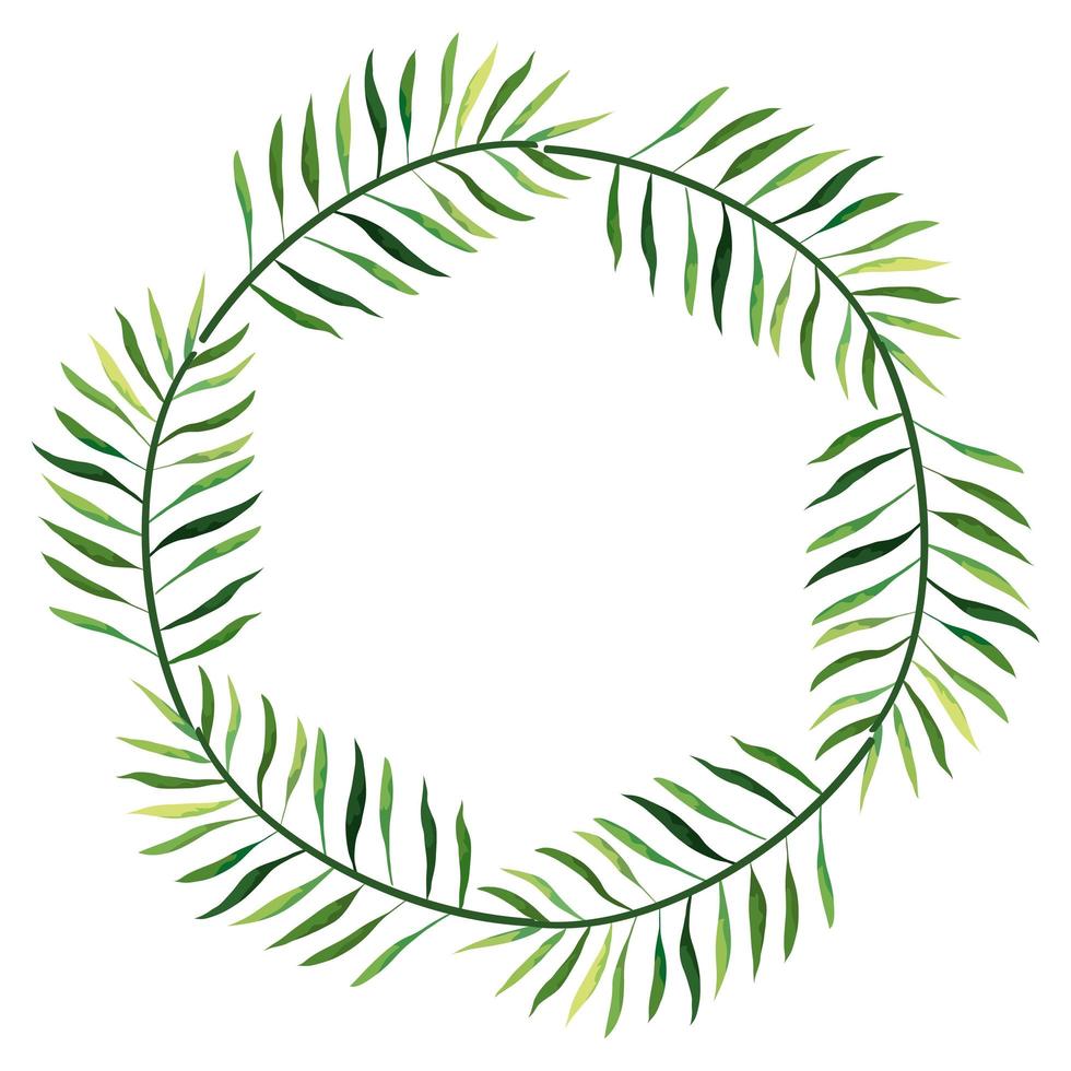 frame circular of branches with leafs vector