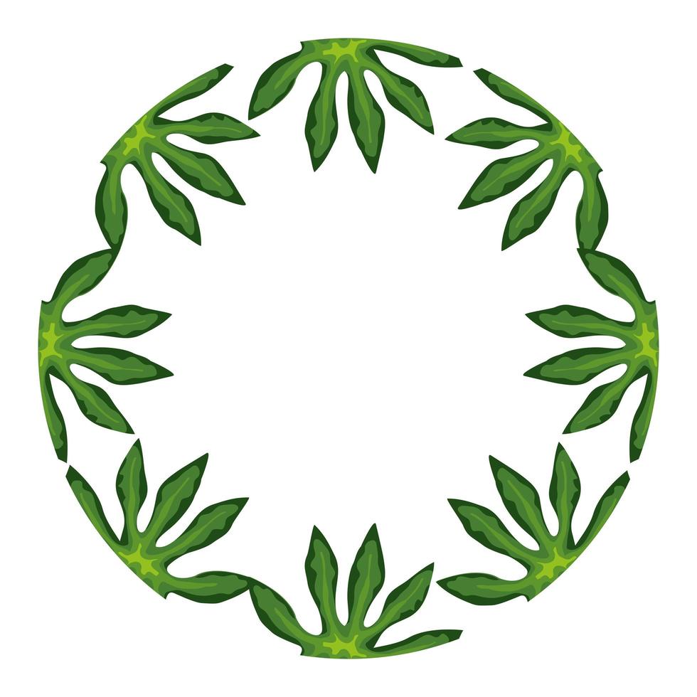 frame circular of leafs tropical isolated icon vector