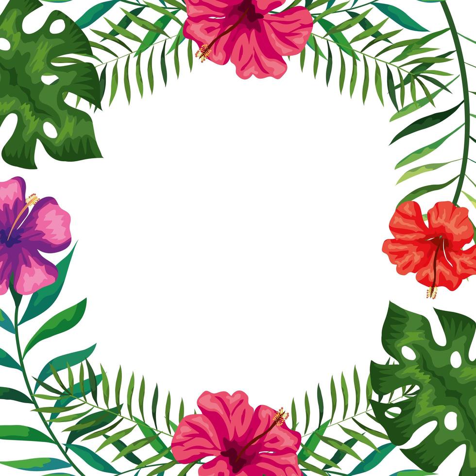 frame of flowers with branches and leafs vector