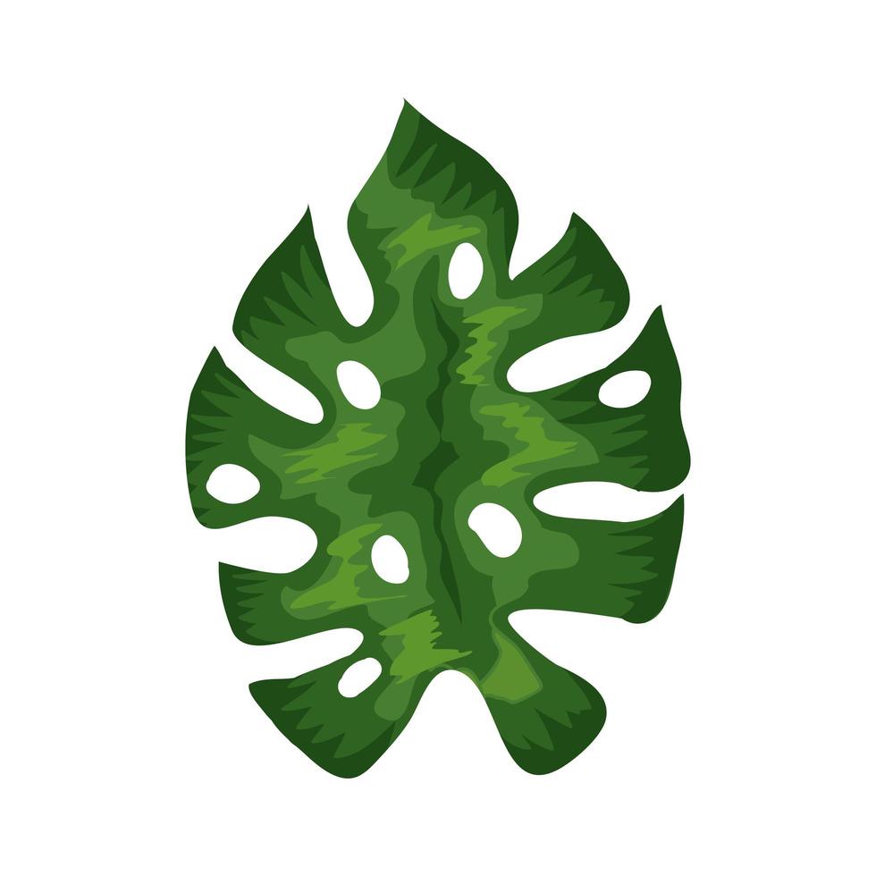 leaf nature tropical isolated icon vector