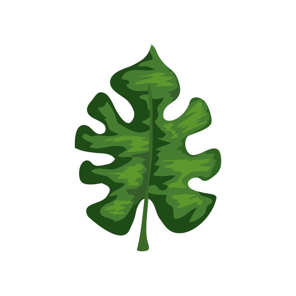 leaf nature tropical isolated icon vector