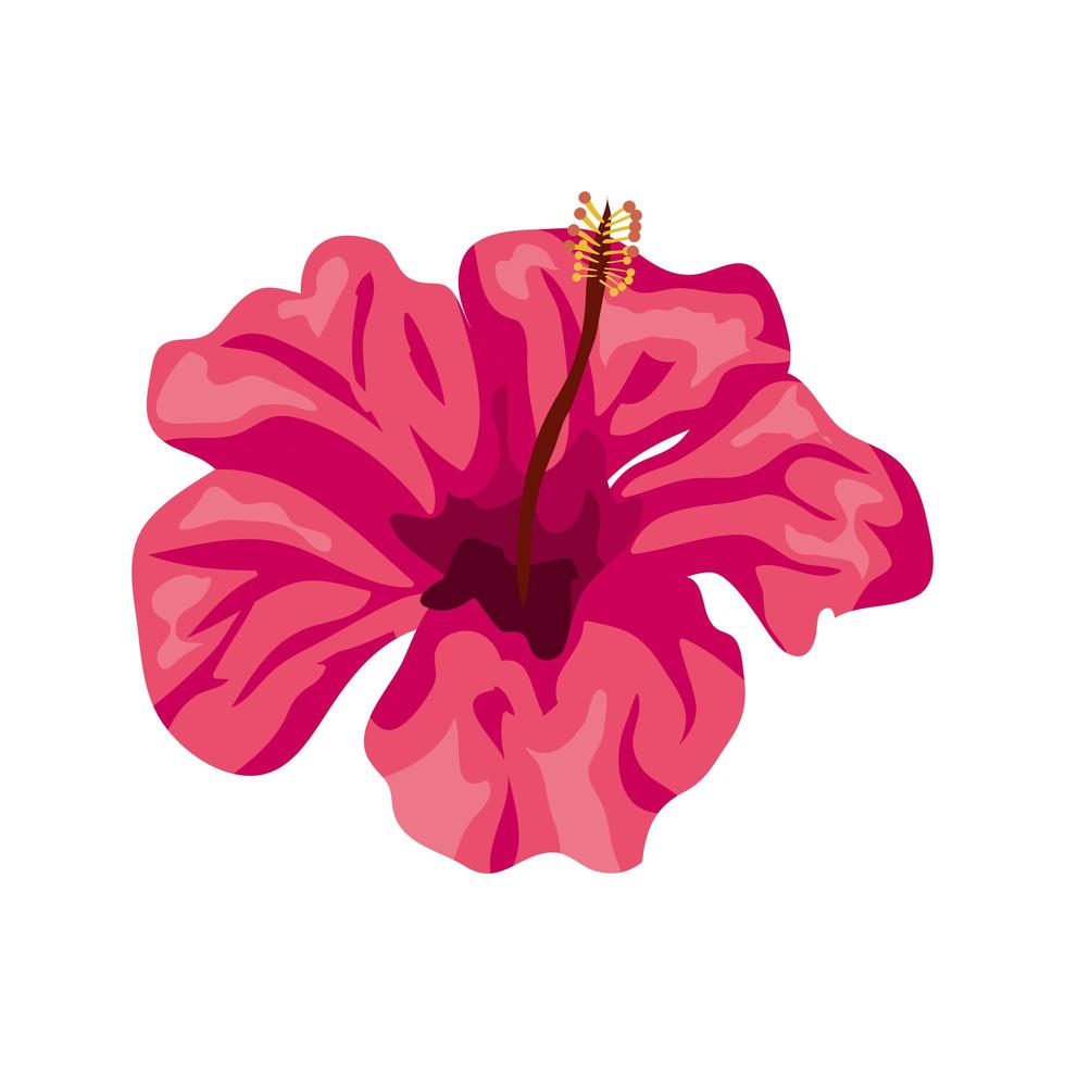 Linda flor color rosa natural icono aislado vector