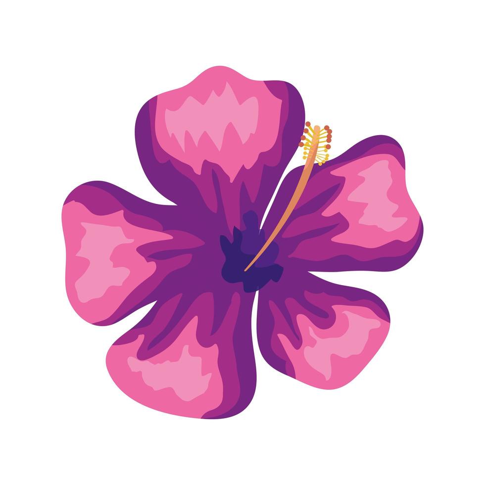 cute flower natural purple color isolated icon vector