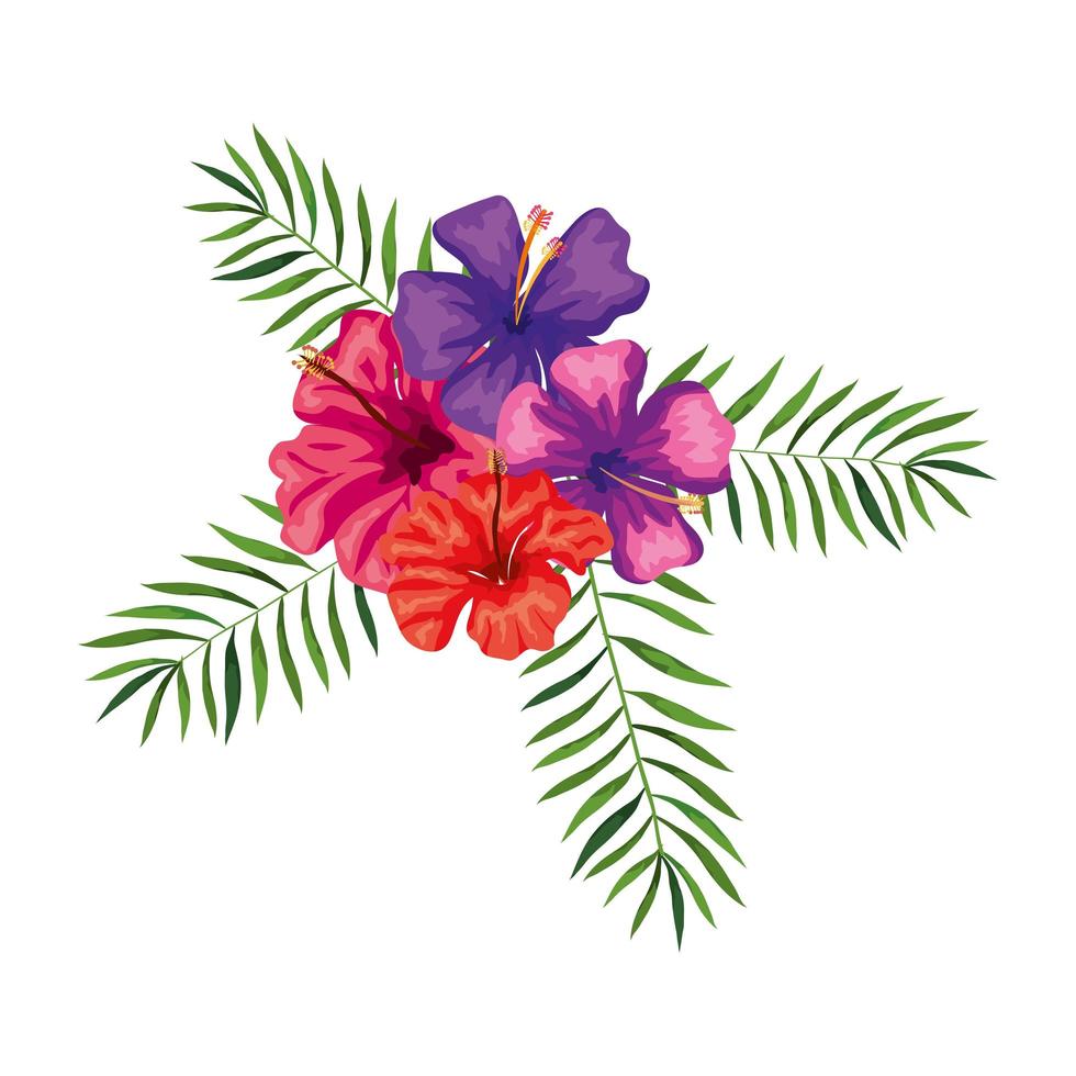 flowers natural with branches and leafs vector