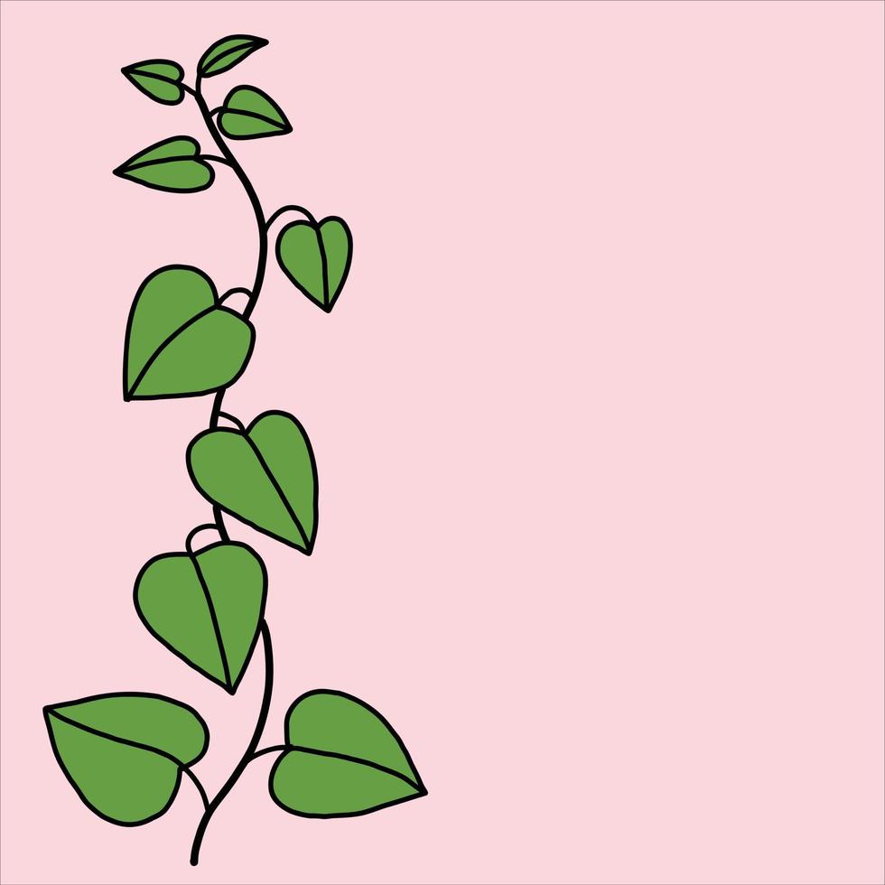 simplicity ivy freehand drawing flat design. vector