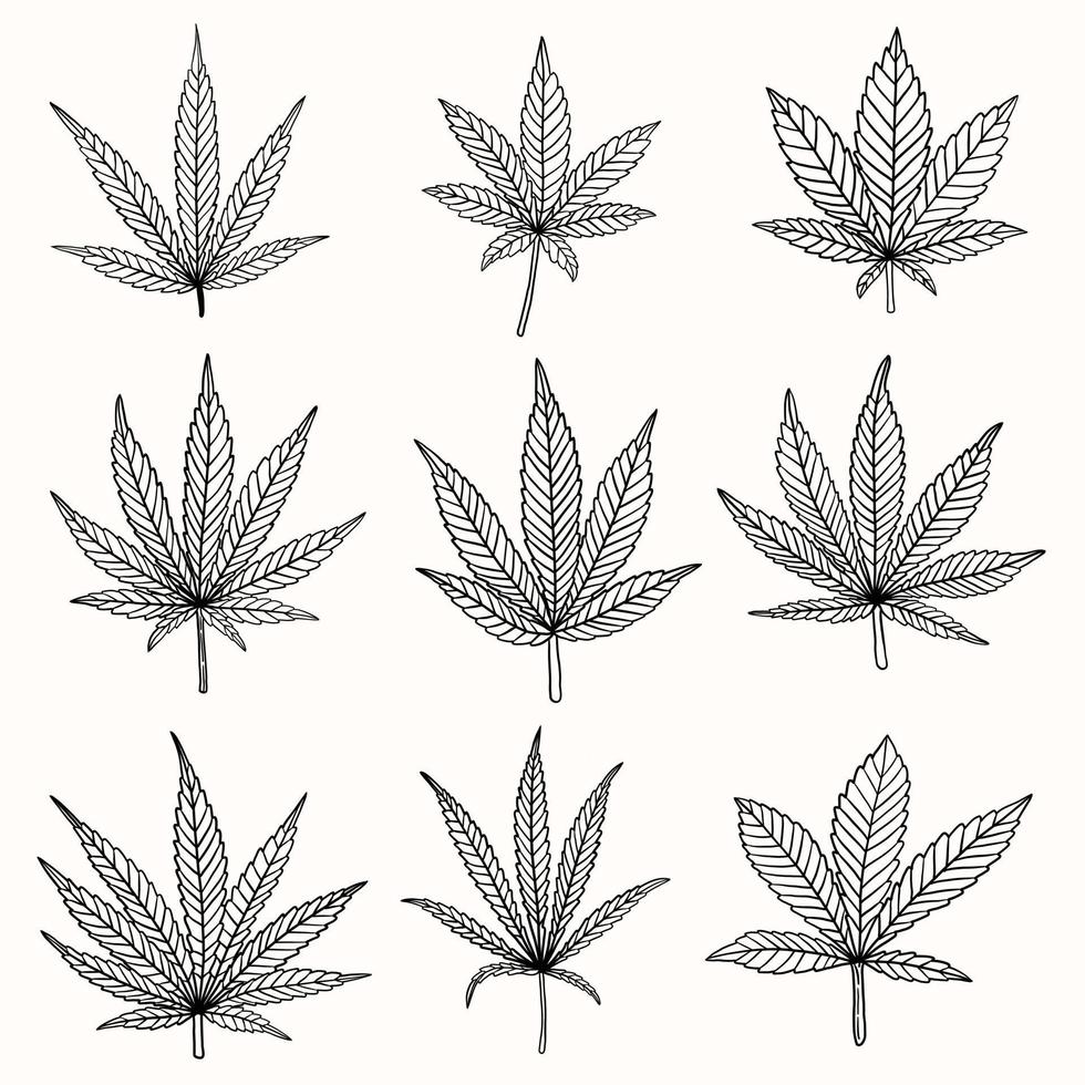 simplicity cannabis leaf freehand drawing flat design. vector