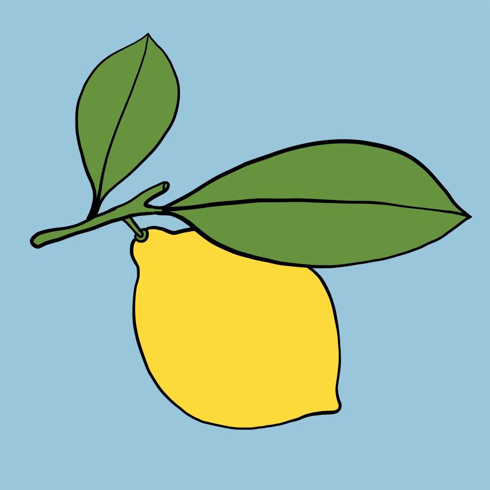 doodle freehand sketch drawing of lemon fruit. vector