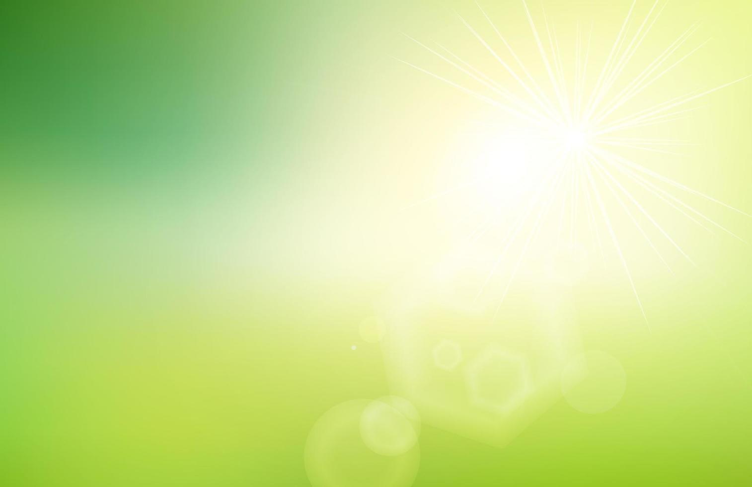 Gradiente de naturaleza verde abstracto fondo borroso con luz solar y destellos. primavera verano. concepto de ecología para su diseño gráfico. vector