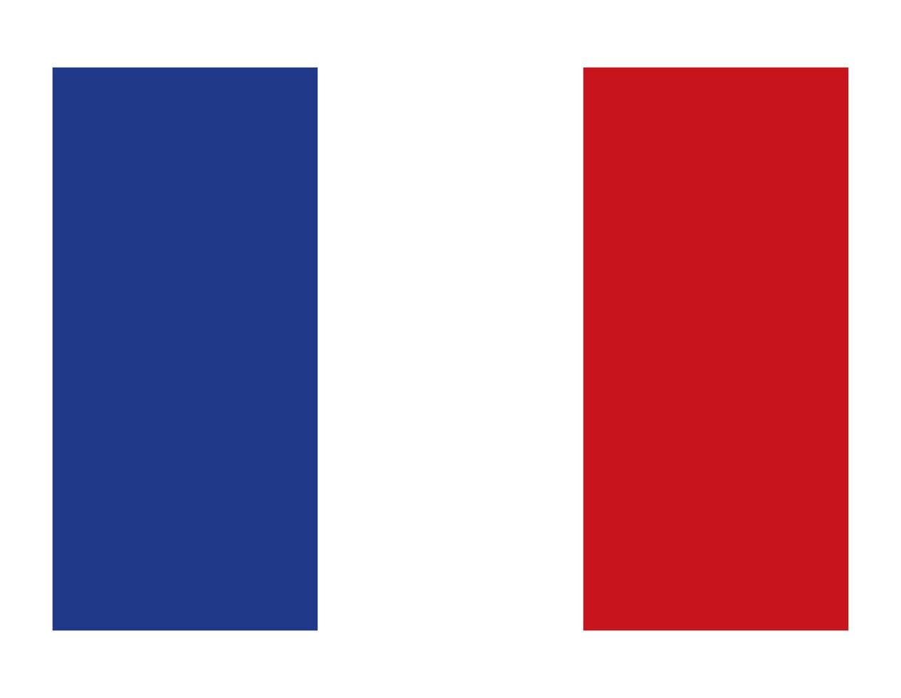 bandera de francia vector