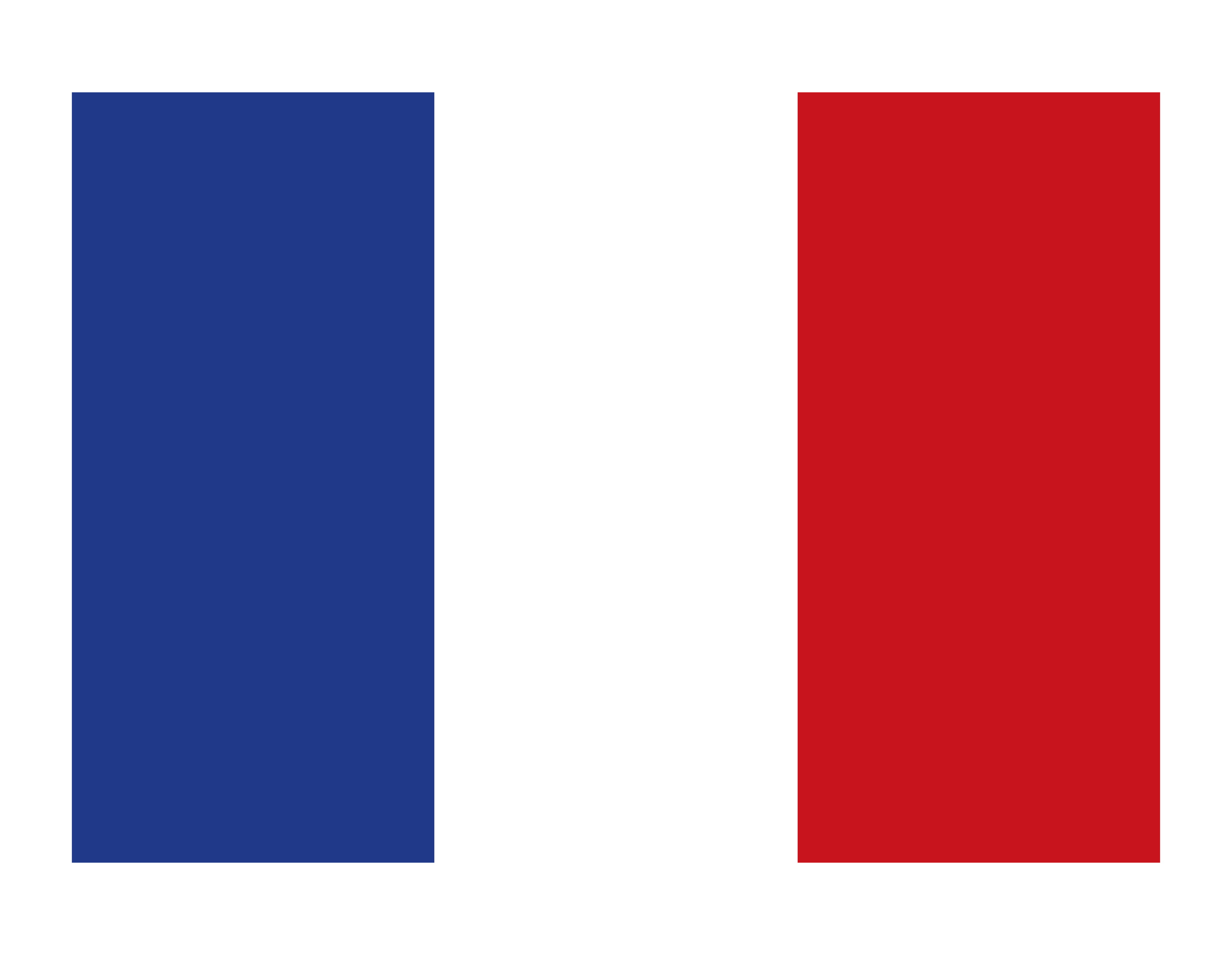 Descubrir 70+ bandera francesa sin fondo - kidsdream.edu.vn