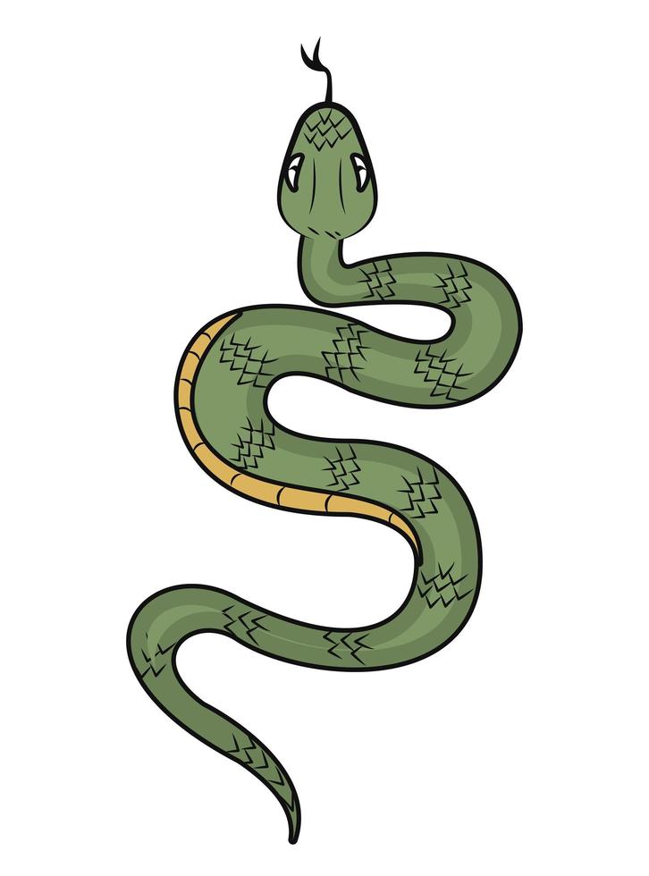 snake wild reptile vector