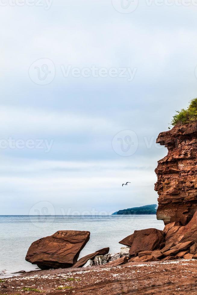 Beautiful Landscape of a Cliff and Seagull Passing by photo