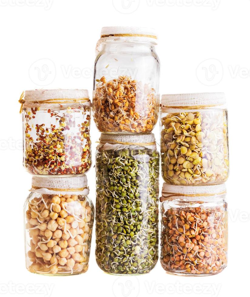 Pila de diferentes semillas que brotan que crecen en un frasco de vidrio foto