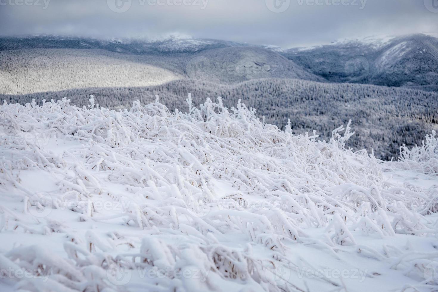 Winter Landscape from Top of Mountain in Canada, Quebec photo