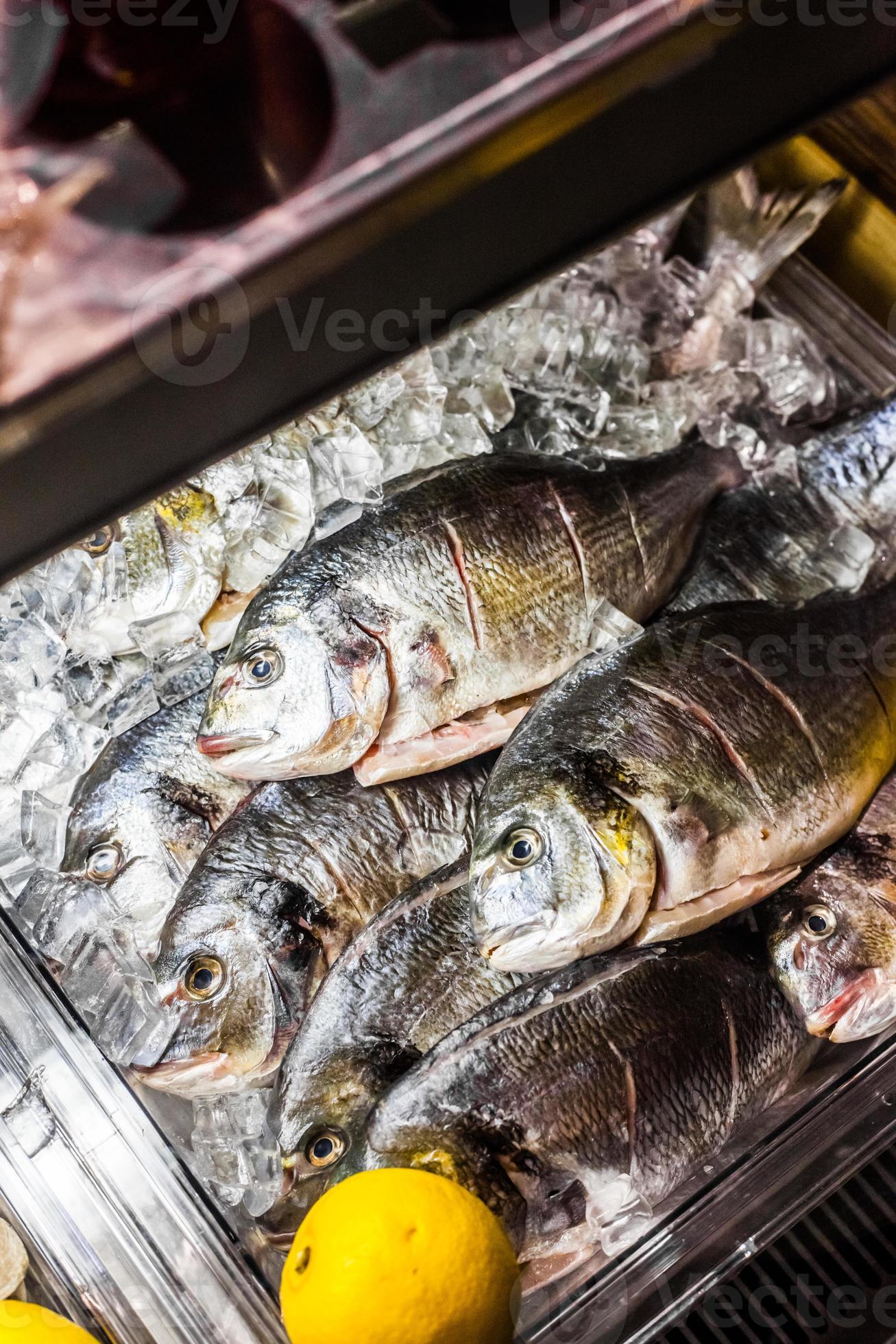 Fresh Fish Counter 4316878 Stock Photo at Vecteezy