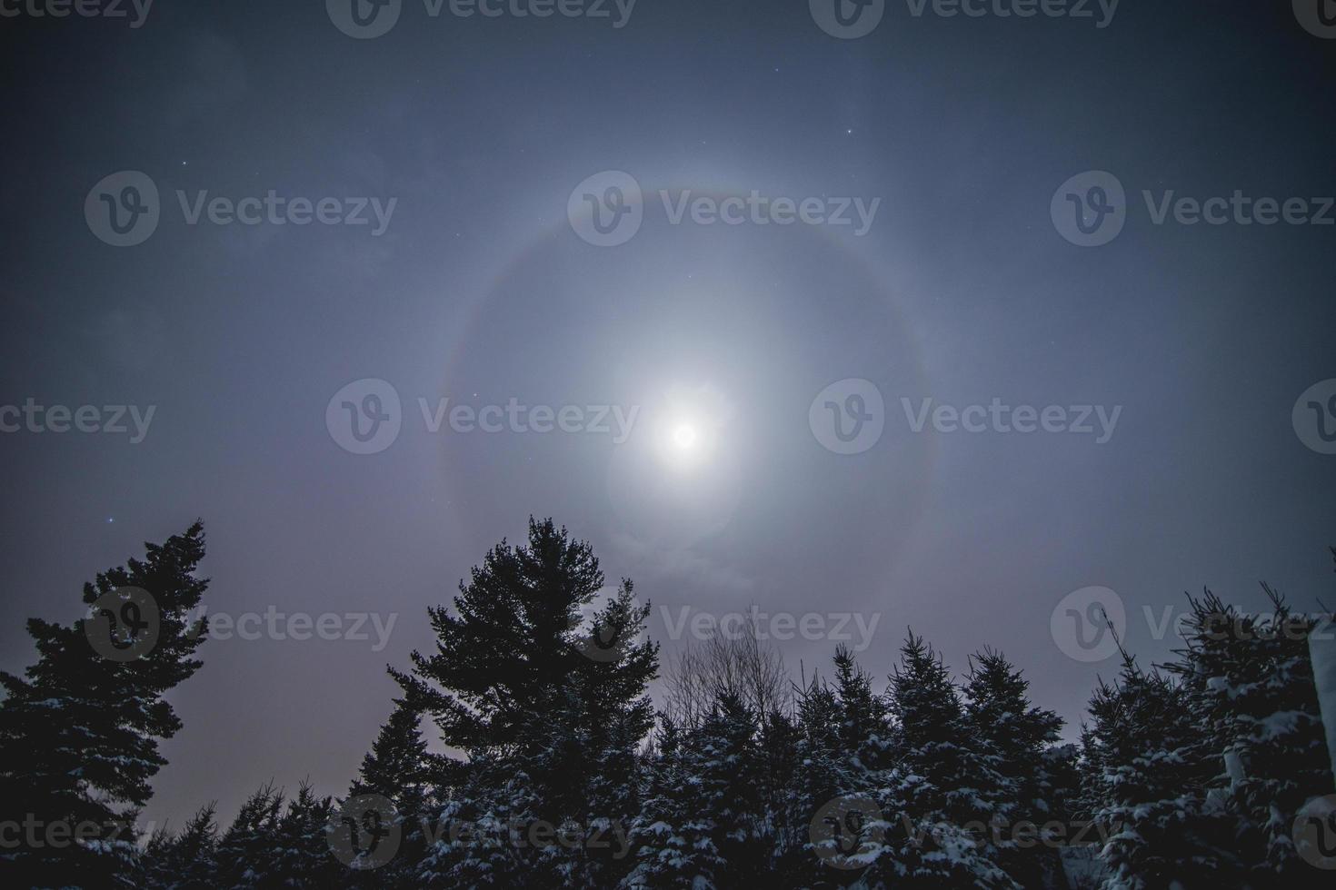 halo de luna en el bosque salvaje durante el invierno foto