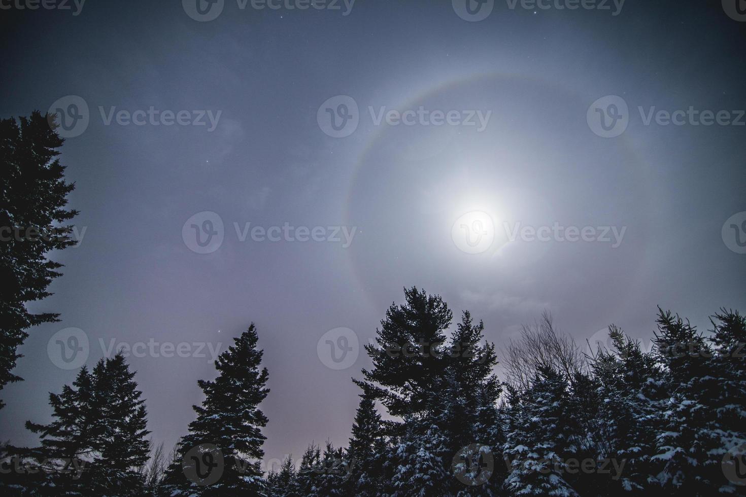 halo de luna en el bosque salvaje durante el invierno foto