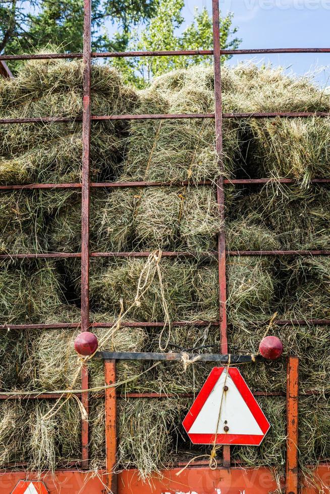 Pilas de heno seco en un camión de transporte foto