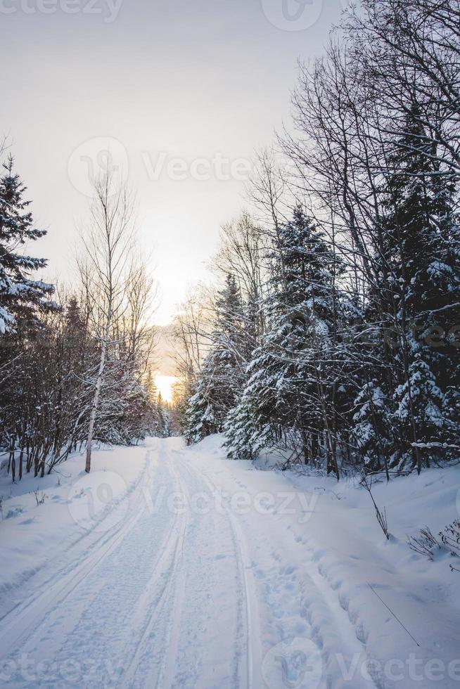 Snowmobile Path in the Wild Nature photo