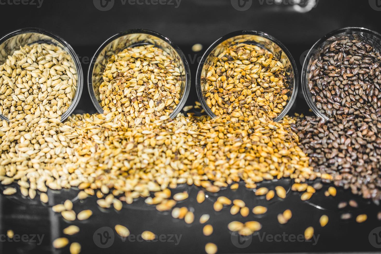 Diferentes colores de grano de cerveza de cebada malteada textura. foto