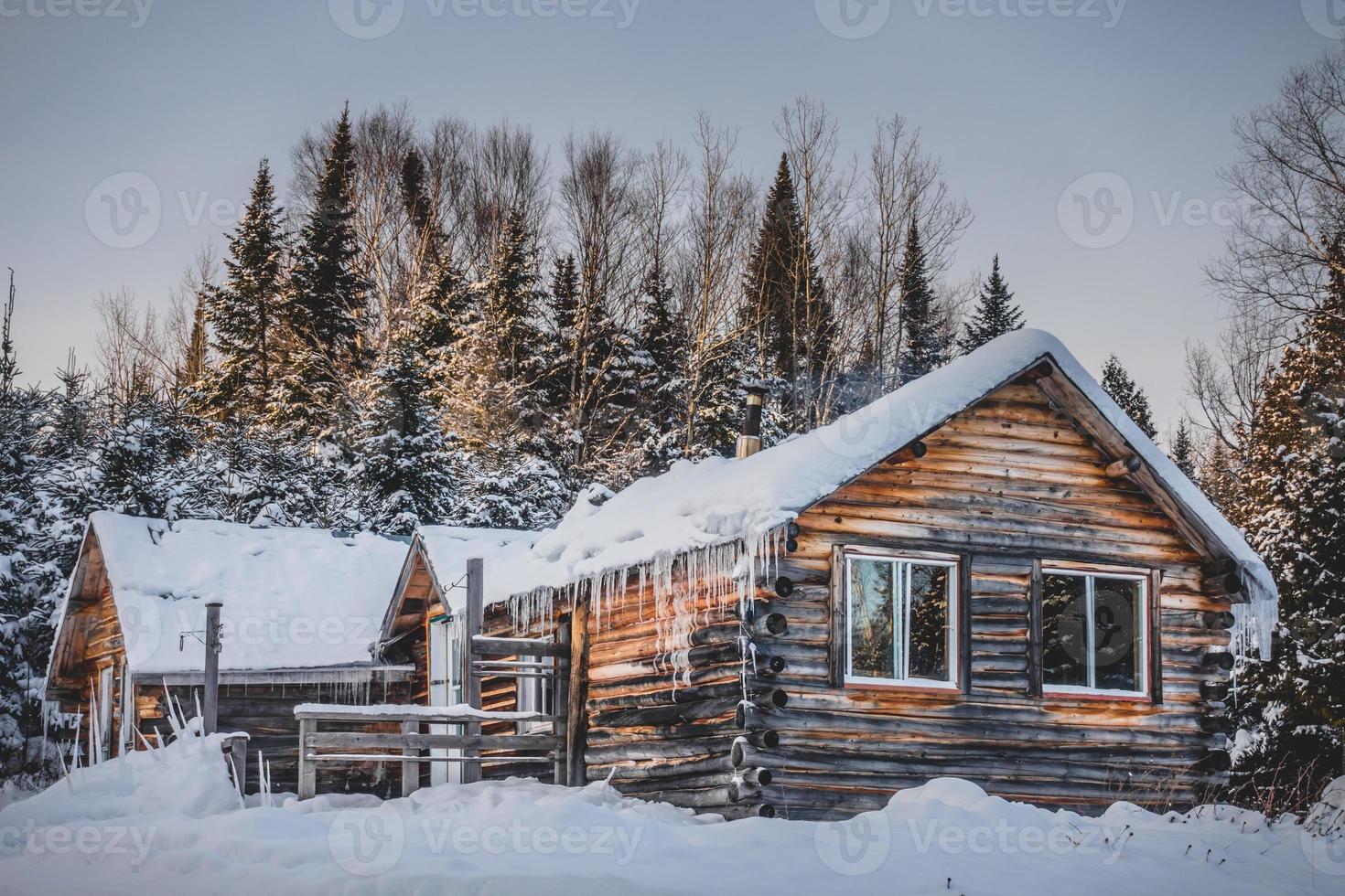 Cabaña de madera de troncos redondos canadienses durante el invierno foto