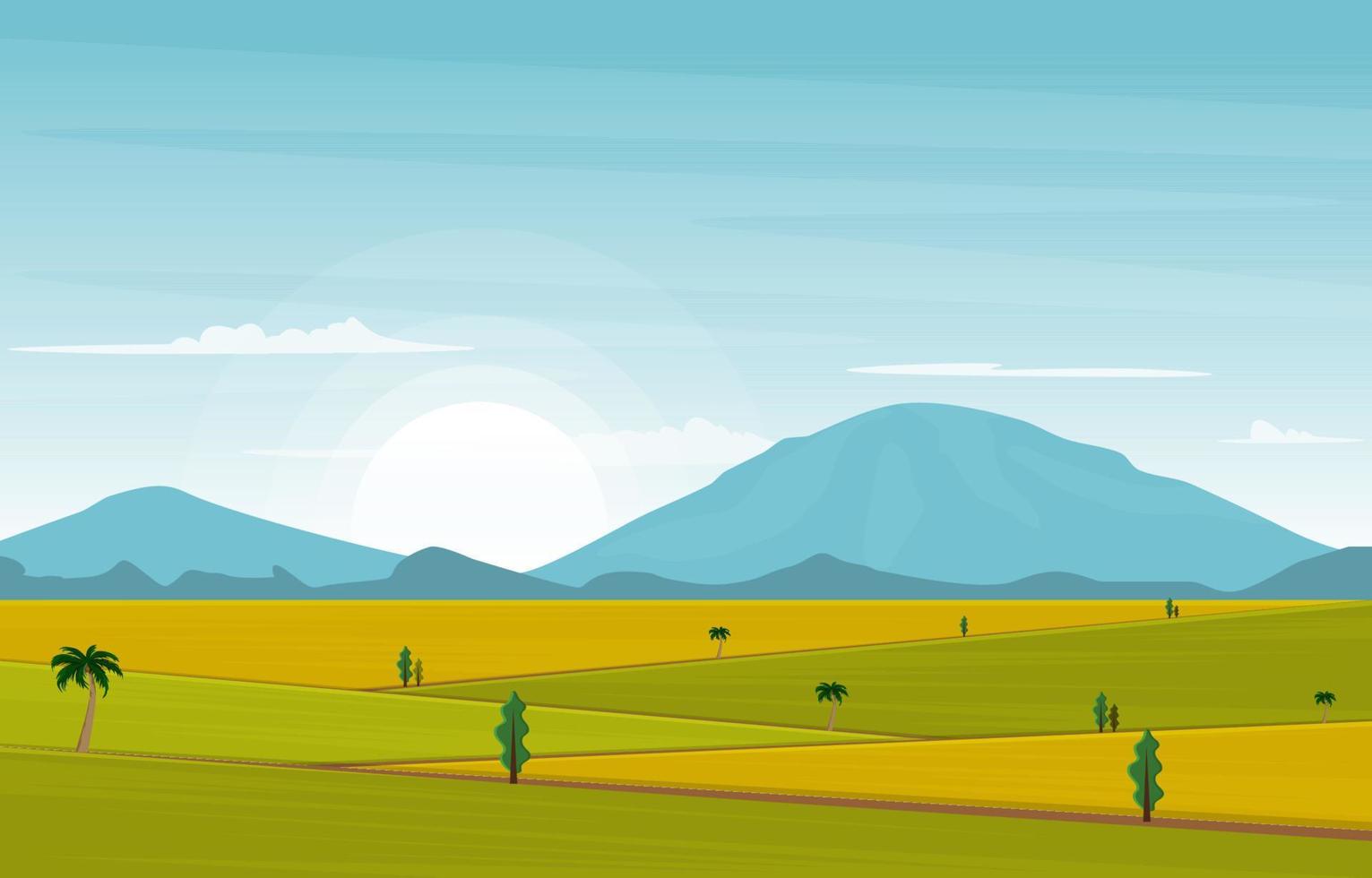 Beautiful Asian Paddy Rice Field Agriculture Nature View Illustration