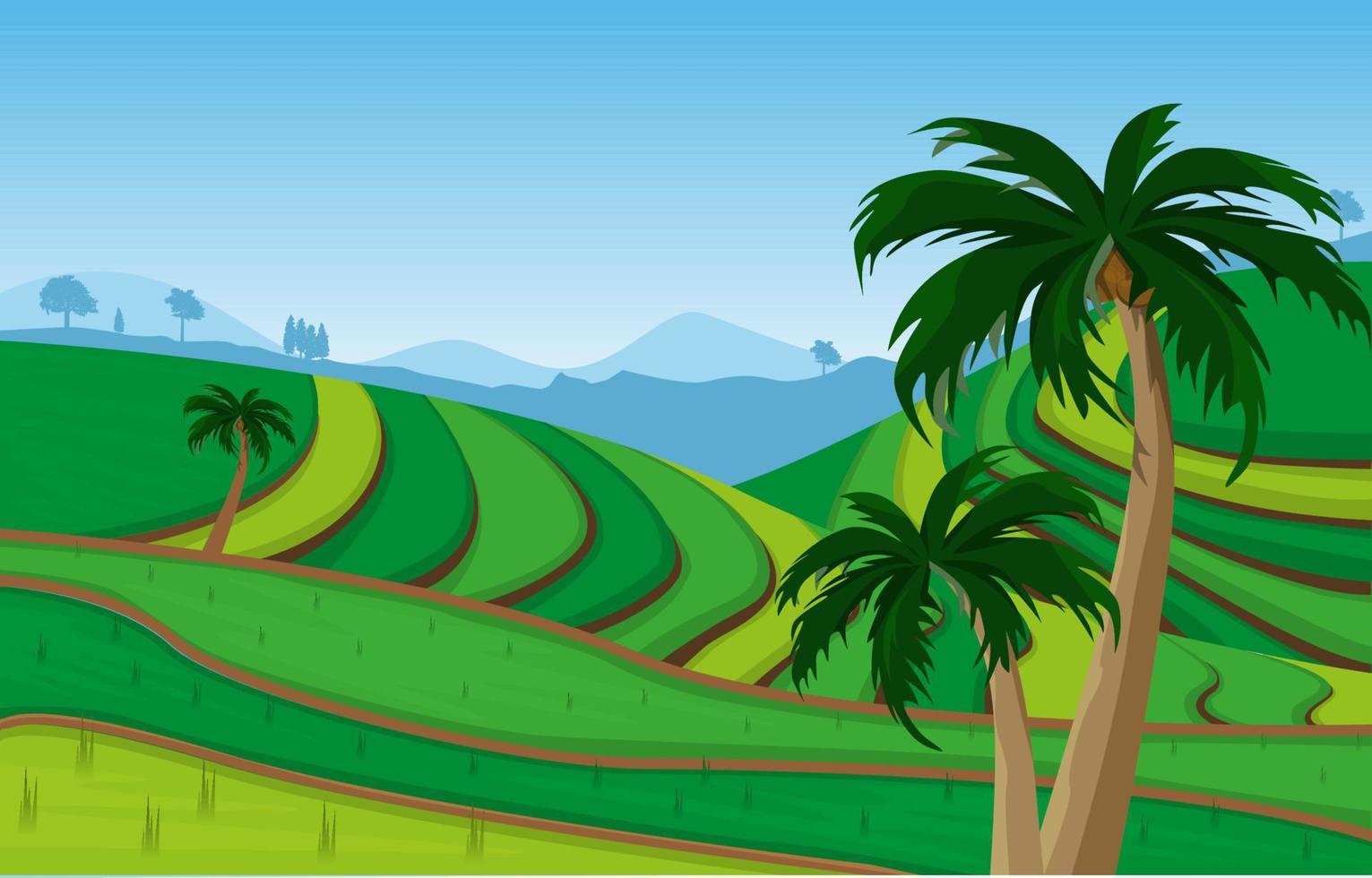 Bali Terraced Paddy Rice Field Agriculture Nature View Illustration vector