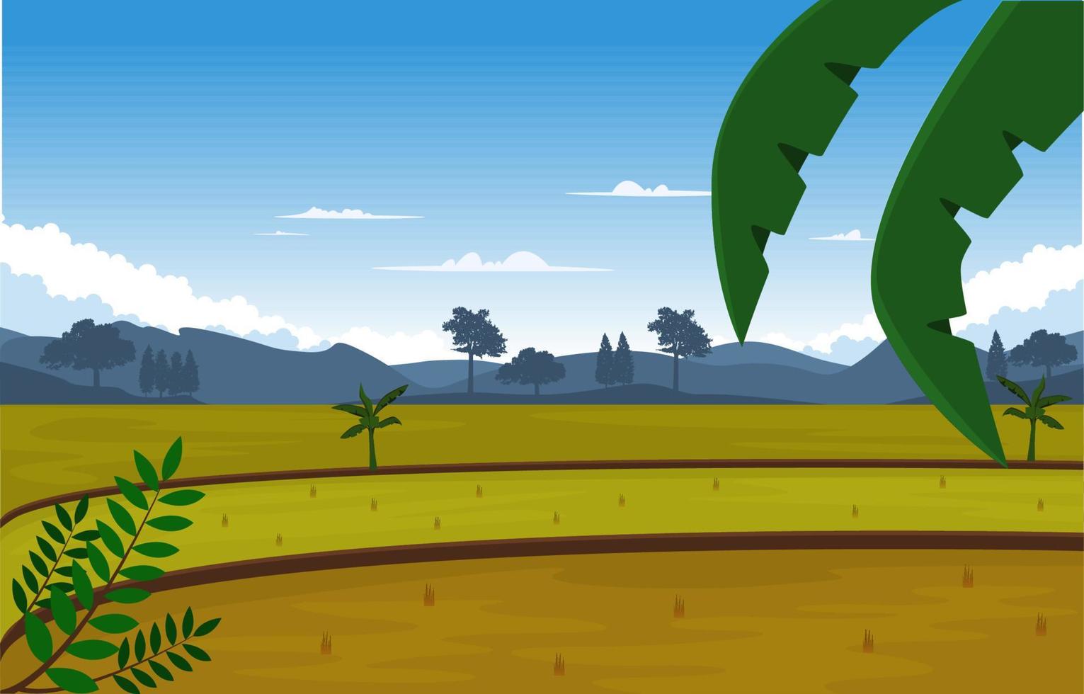 hermoso, asiático, arrozal, campo, agricultura, naturaleza, vista, ilustración vector