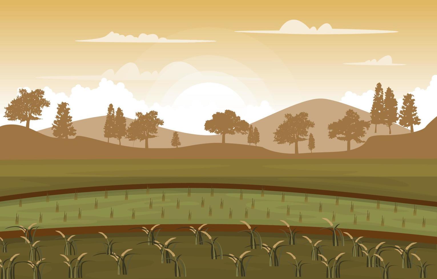 amanecer asiático arrozal campo agricultura naturaleza vista ilustración vector