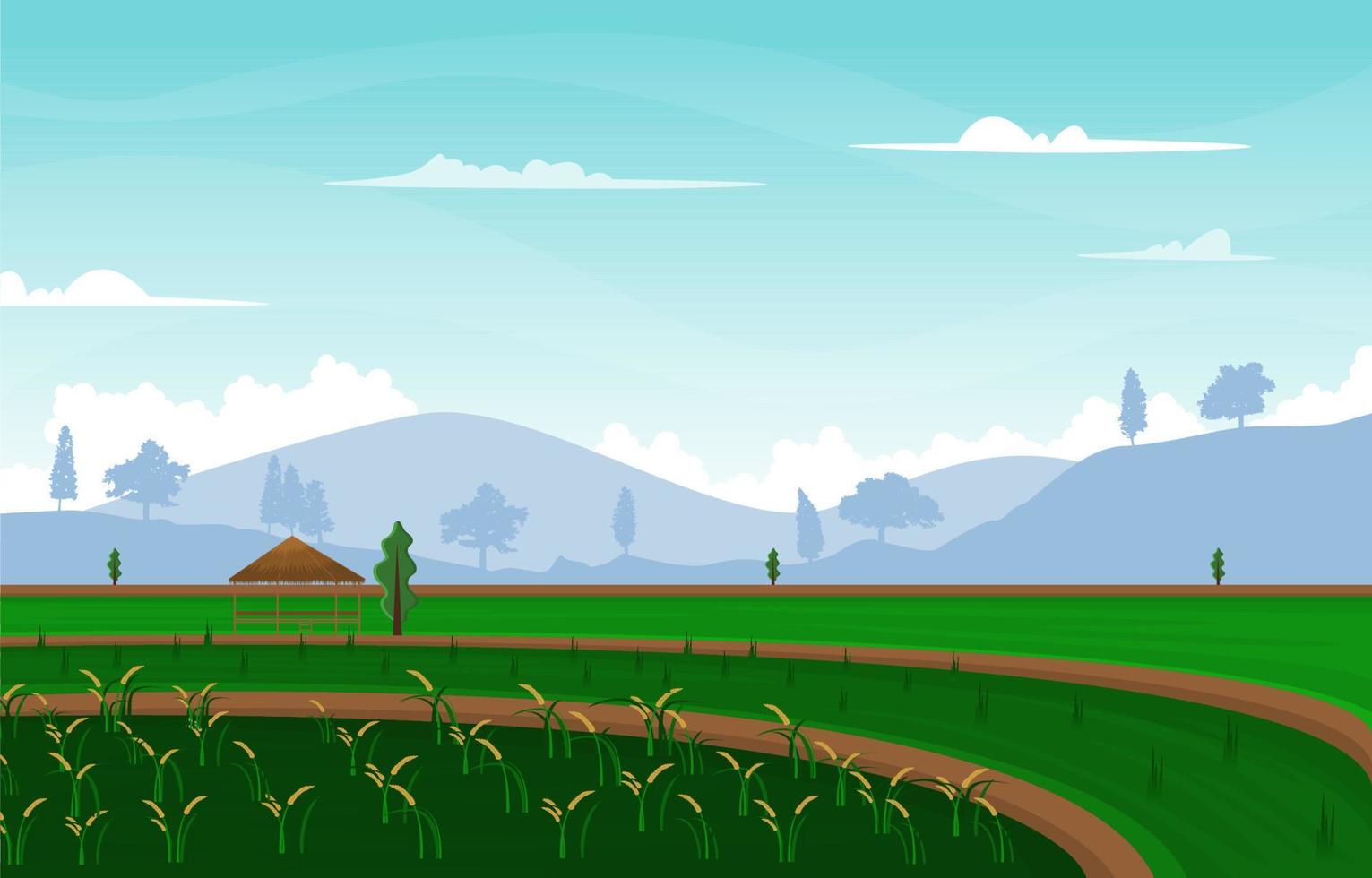 Bali Terraced Paddy Rice Field Agriculture Nature View Illustration vector