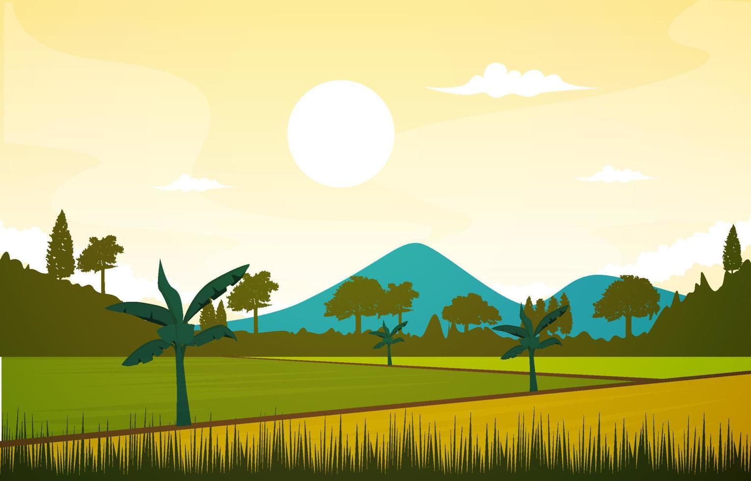 Beautiful Asian Paddy Rice Field Agriculture Nature View Illustration vector