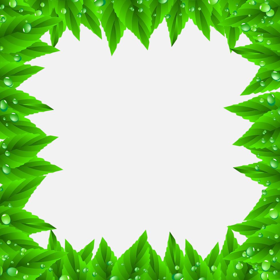 Frame of green leaves vector
