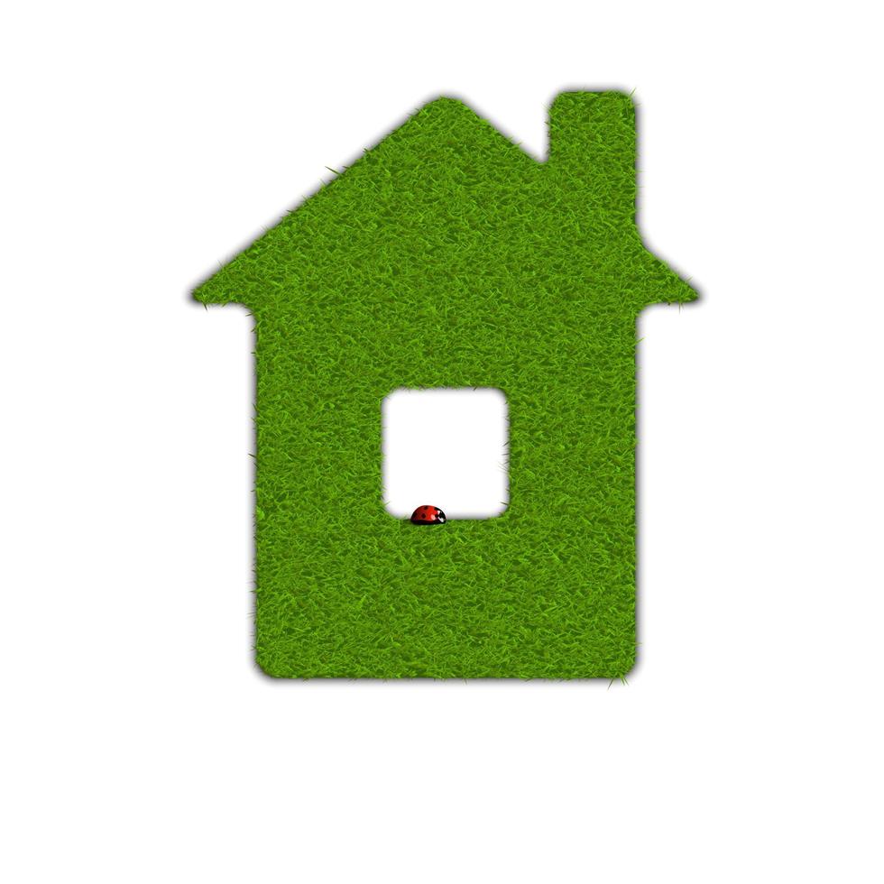 Green home icon vector