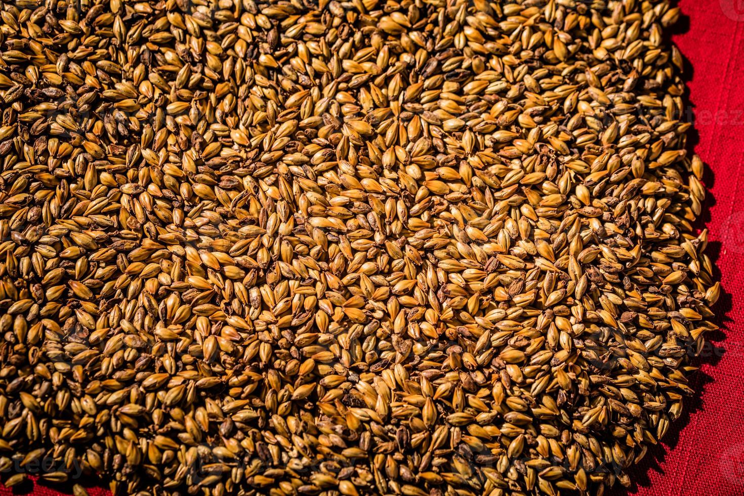 Cerveza, cebada, malteada, caramelo, granos, textura macro foto