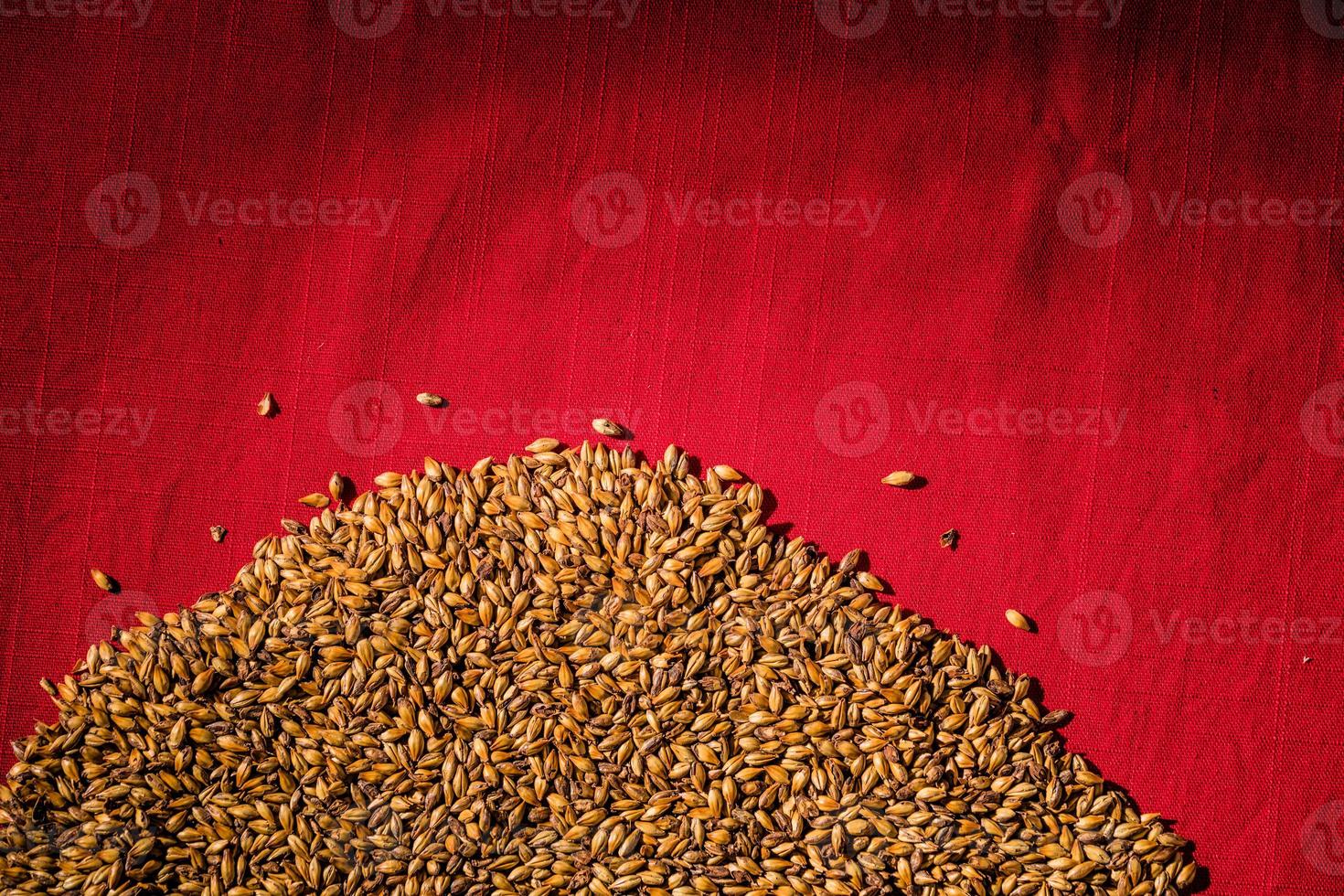 Beer Barley Malted Caramel Grains Macro Texture photo