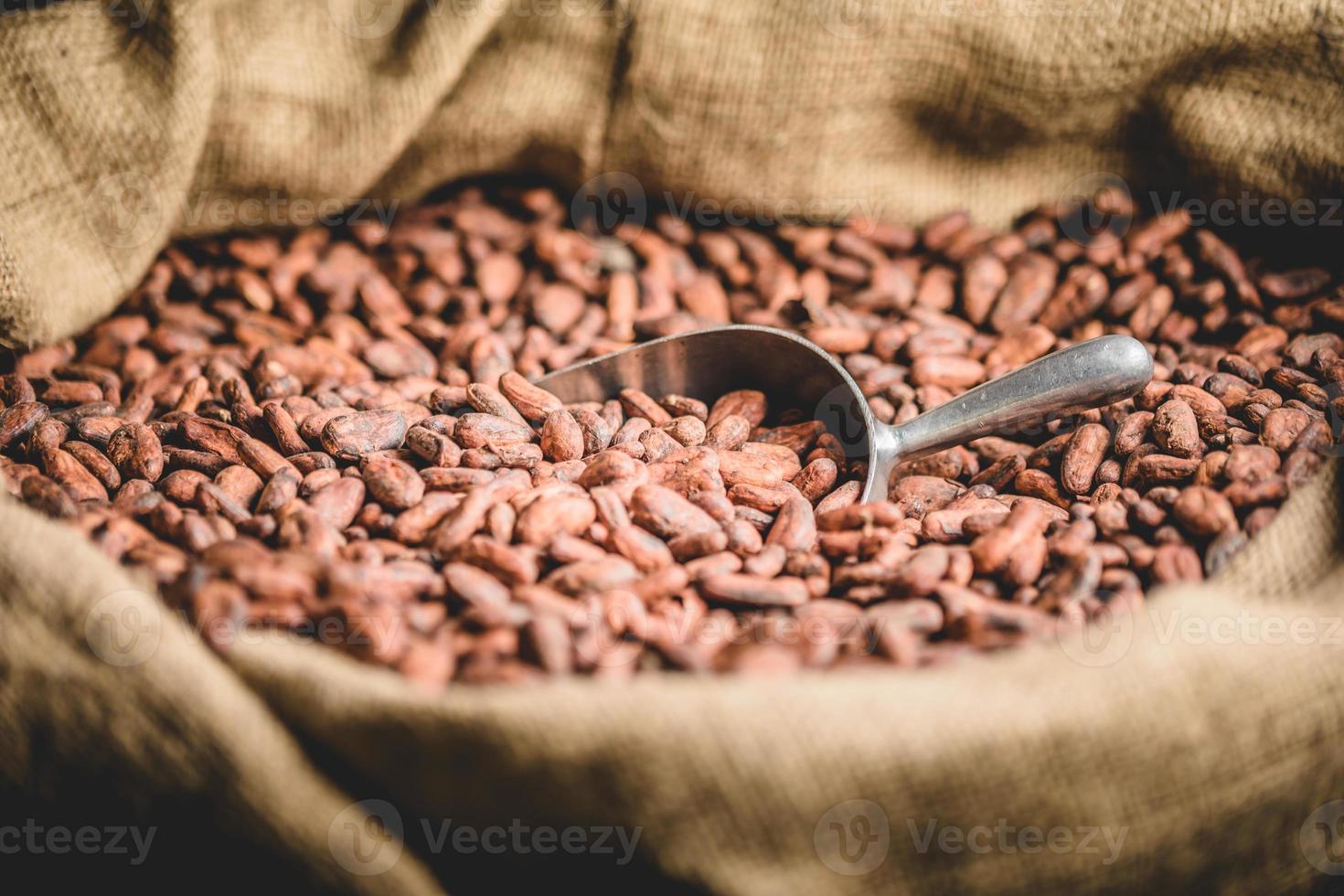 Canvas bag with Imported roasted cacao beans photo