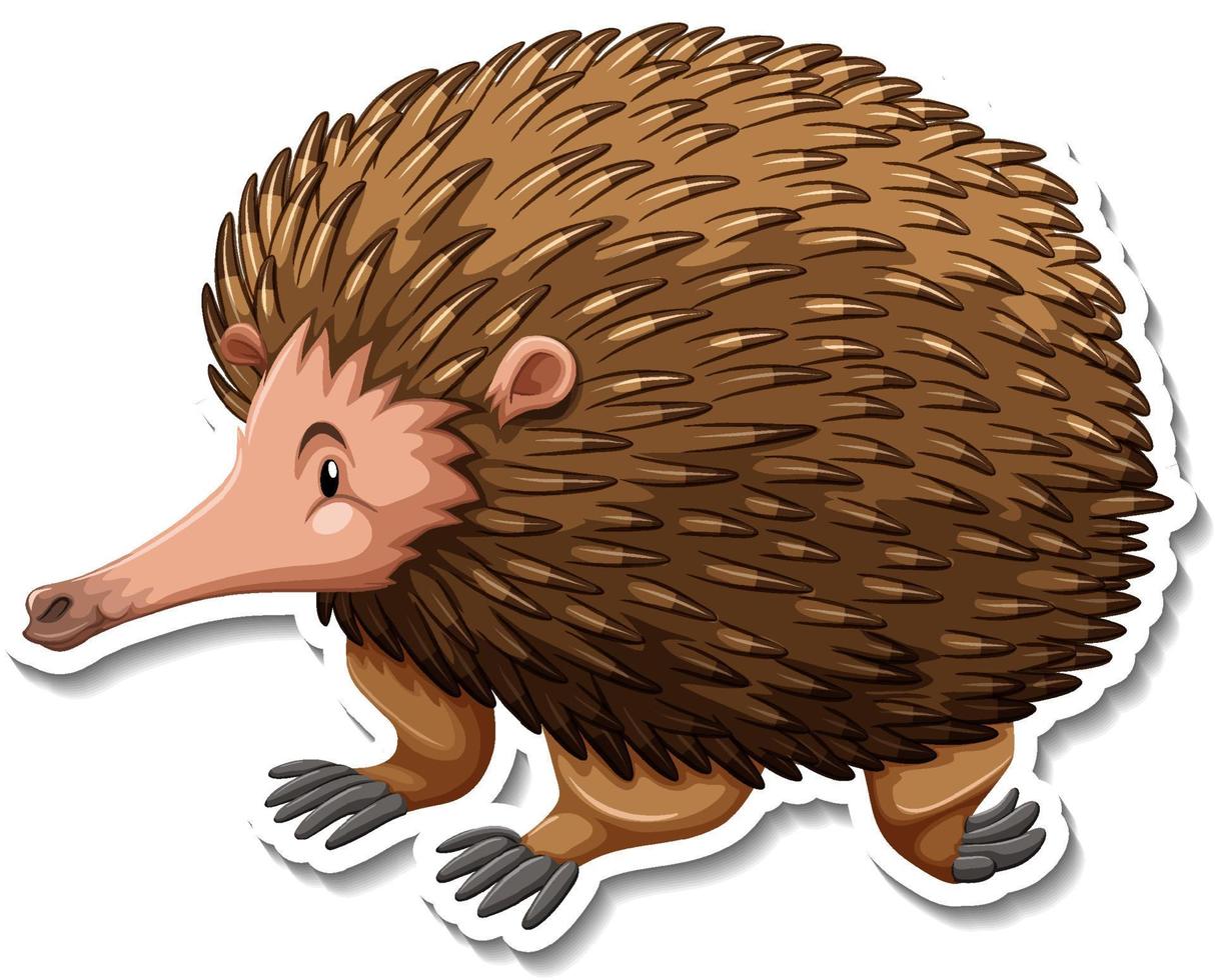 Echidna cartoon character on white background vector