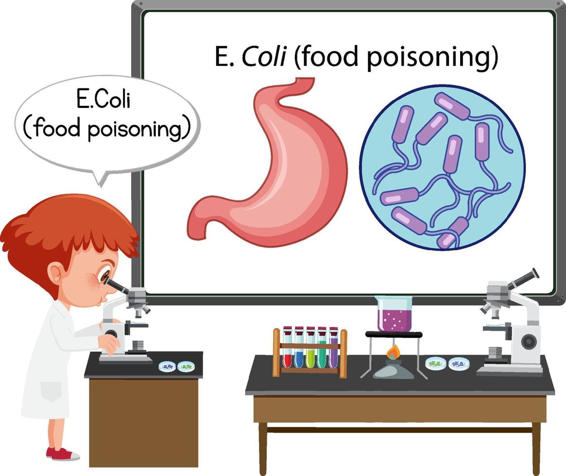 Young doctor explaining food poisoning vector
