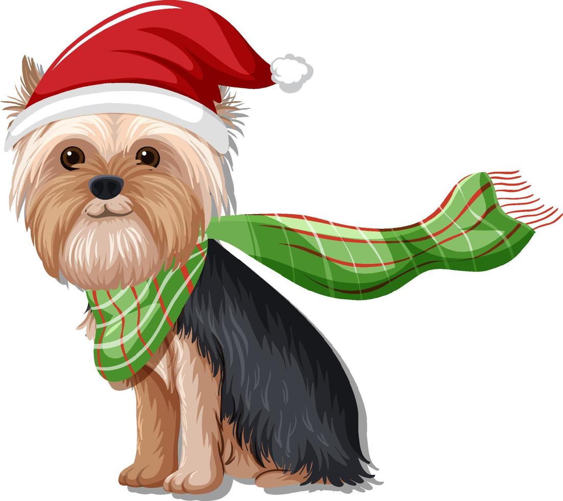 Yorkshire terrier dog wearing Christmas hat cartoon character vector