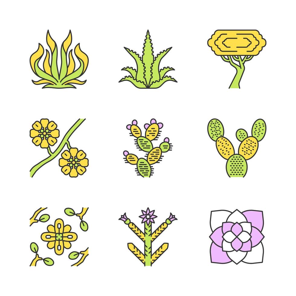 Desert plants color icons set. Exotic flora. American succulents and drought resistant plants. Larrea, palo verde tree, aloe vera, agave. Isolated vector illustrations